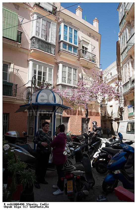 2011, �������, �����, ������, �����, �����, ��������� ���