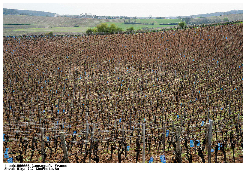 �����������, ������, ���������, ������� �������, ���� � �������, �������