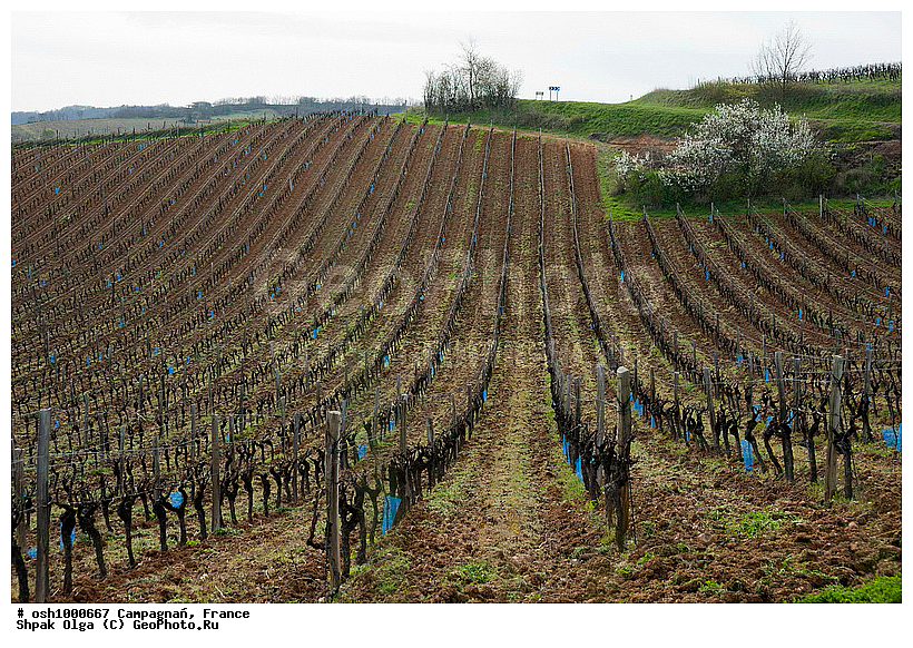 ������, ���������, �������, �����, �����������