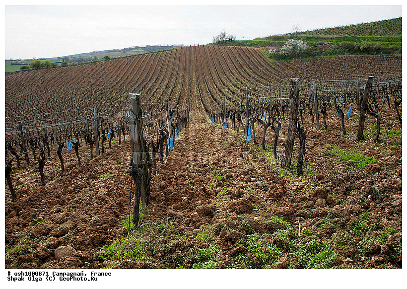 ������, ���������, ���� � �������, �������, �����, �����������