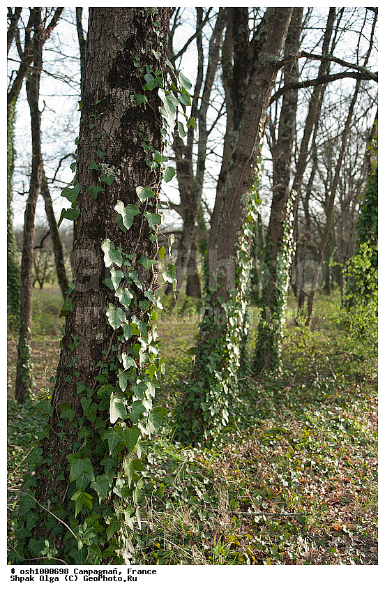 ������, ������� �������, ���� � �������, �������, �����, ������, ����