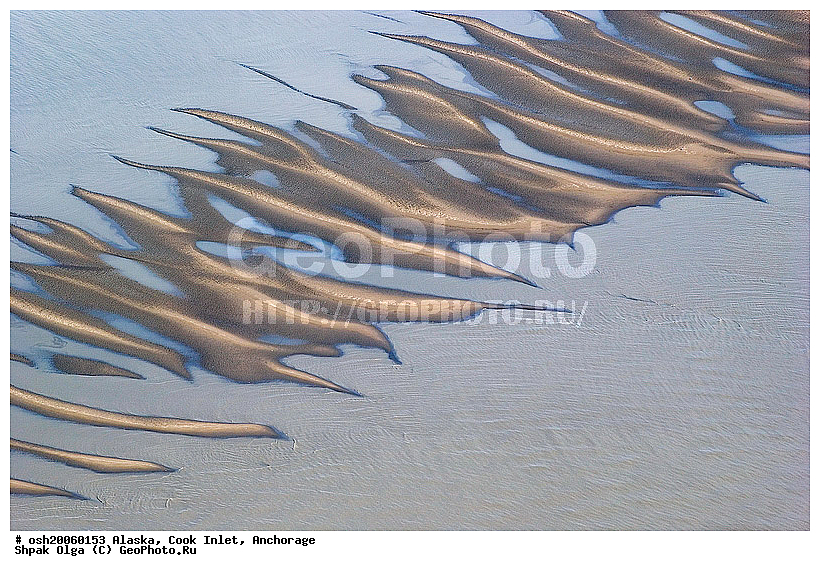 2006 �, ������, ��������, ����������, ����������, ����, ��������������, ����� ����, ������, ������, �������