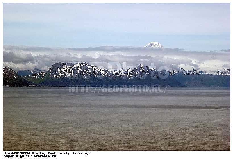 2006 �, ������, ��������, ����, ��������������, ����� ����, ������