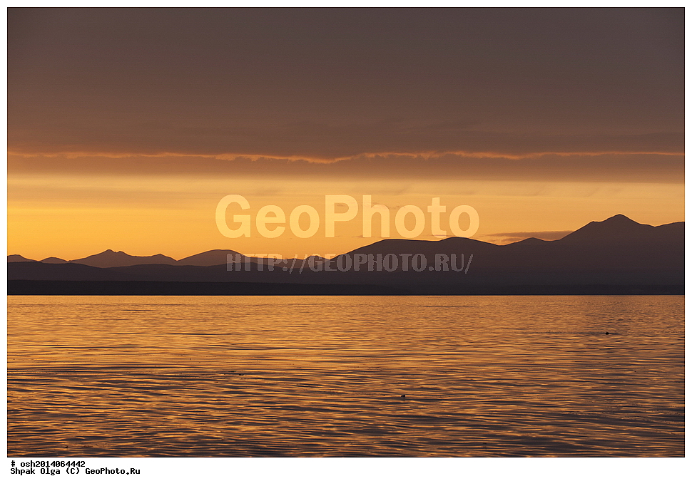 �����, ������ ����, �������