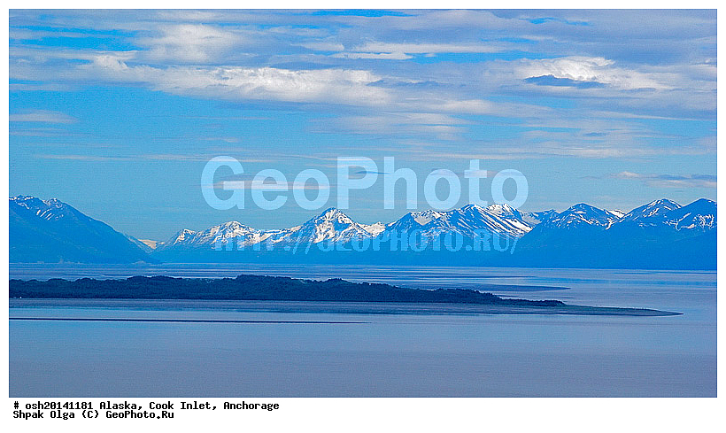 2006 �, ������, ��������, ����, ��������������, ����� ����, ������