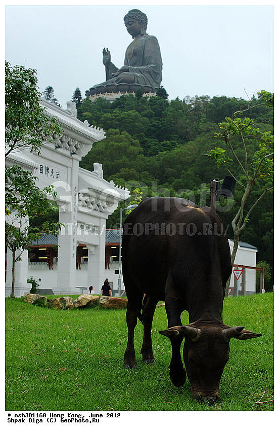 ������� �����, ���� ���, �� ���, ���������, ������, �������, �����, �����, ������, ������, ������, �����