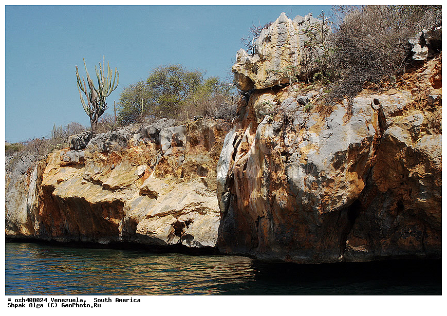 ���������, ����� �������, ��������� �������,  ������, ����, �����, ������, ������, tepui, tree, warao, cactus, wine snake, cacao tree, wall, Orinoco