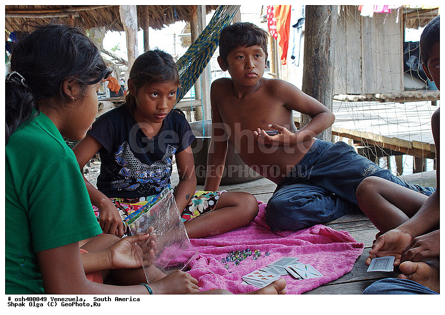 ���������, ����� �������, ��������� �������,  ������, �������, ����,  ������ �������, ����, �������, �����, ����, �������, �������, �������, ����, �����, turism, toy, toucan, Estegalopis, drawing,