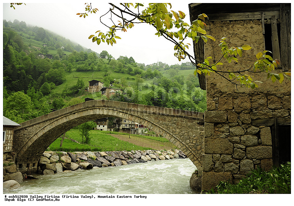  ������, ������� ,������ ���������, ���, �������� �����, �������� ����,  ������ ������, ��������� ������  