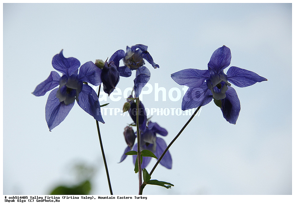  ������, ������� ,������ ���������, ���, �������� �����, �������� ����,  ������ ������, ��������� ������  