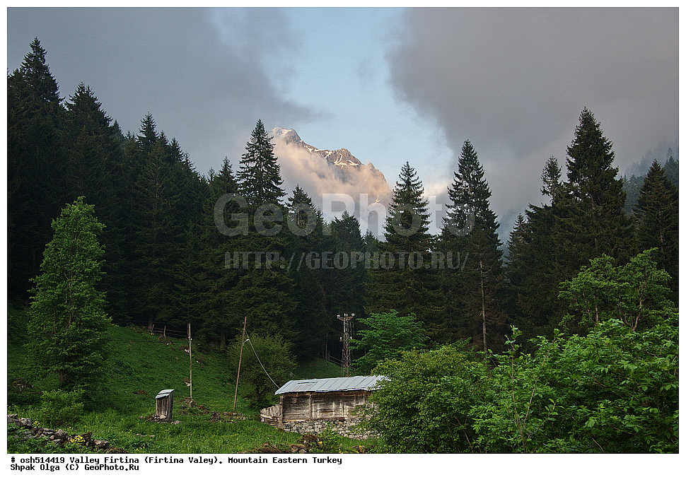  ������, ������� ,������ ���������, ���, �������� �����, �������� ����,  ������ ������, ��������� ������  