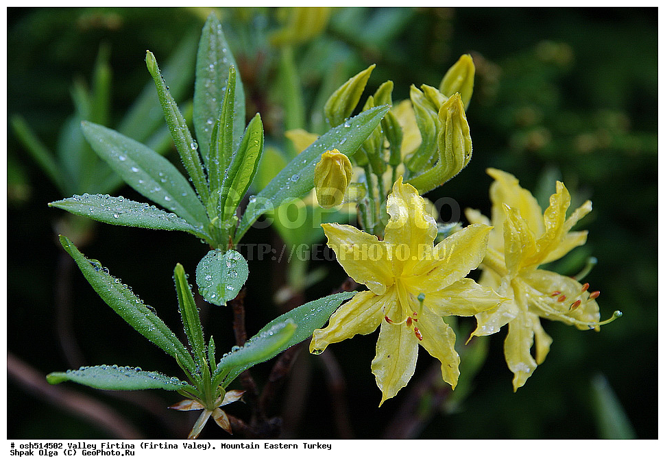  ������, ������� ,������ ���������, ���, �������� �����, �������� ����,  ������ ������, ��������� ������  