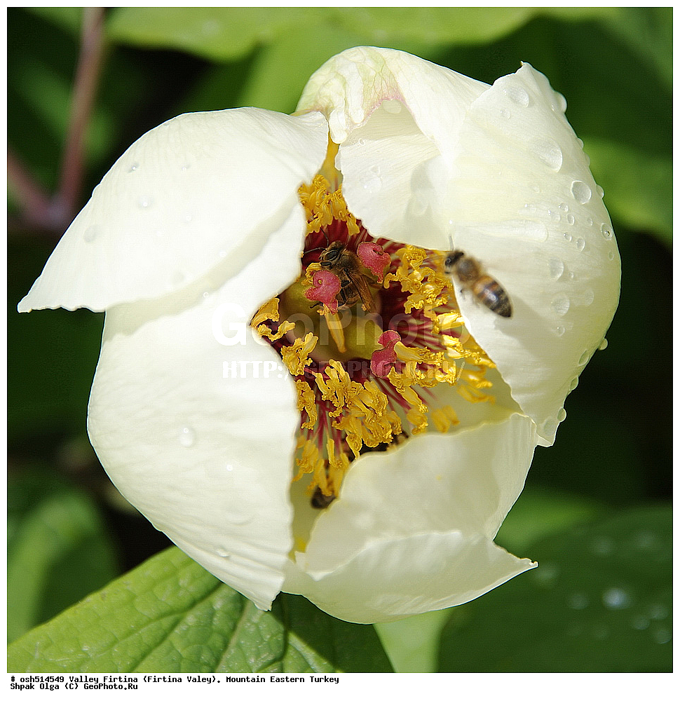  ������, ������� ,������ ���������, ���, �������� �����, �������� ����,  ������ ������, ��������� ������  