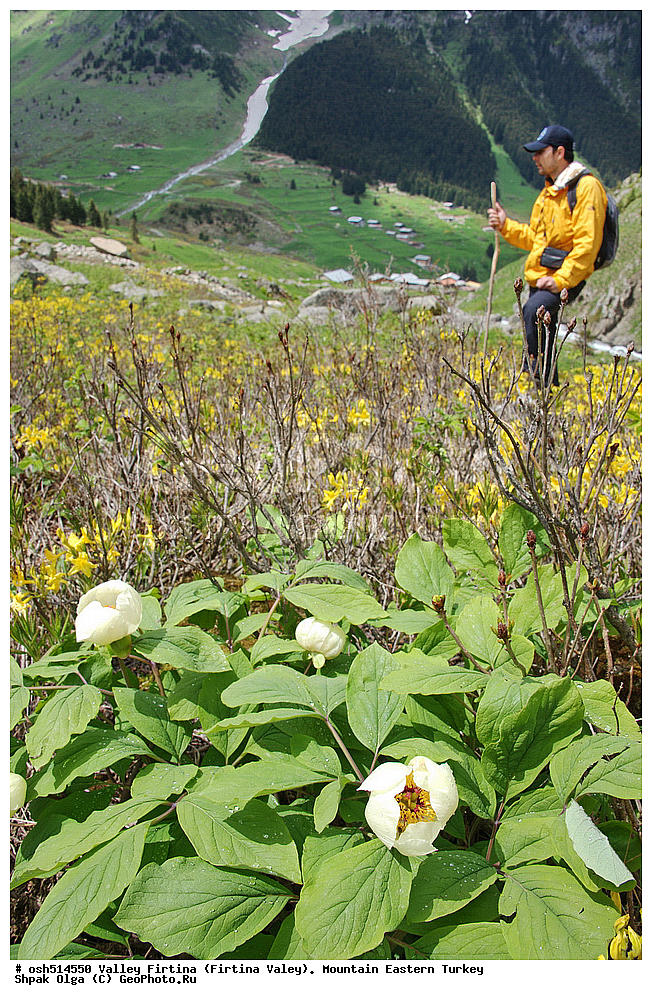  ������, ������� ,������ ���������, ���, �������� �����, �������� ����,  ������ ������, ��������� ������  