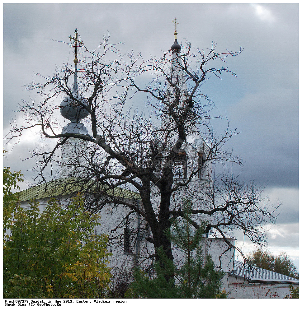 �������, �����, ������������ �������, �������