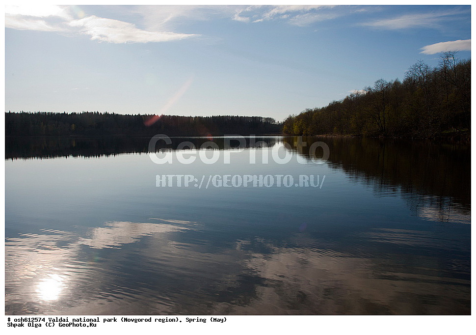 ���������� �������, ������������ �������, �����, ���