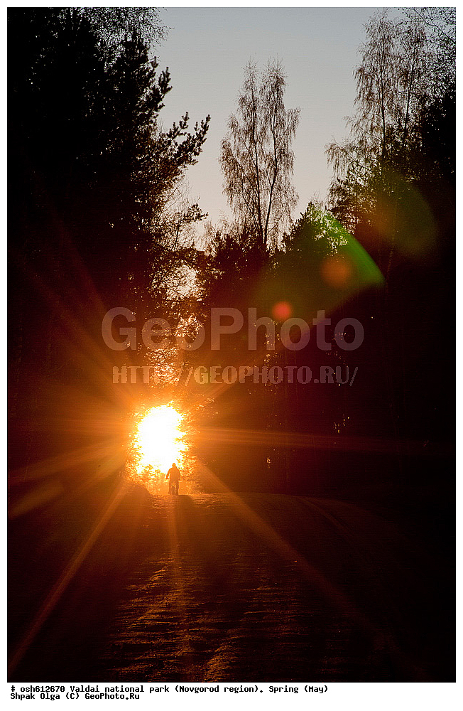 ���������� �������, ������������ �������, �����, ���