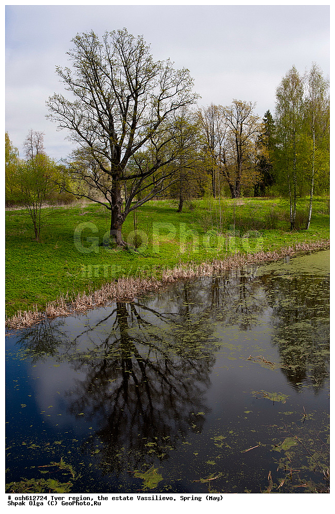 �������� �������, ������� ��������, �����, ���