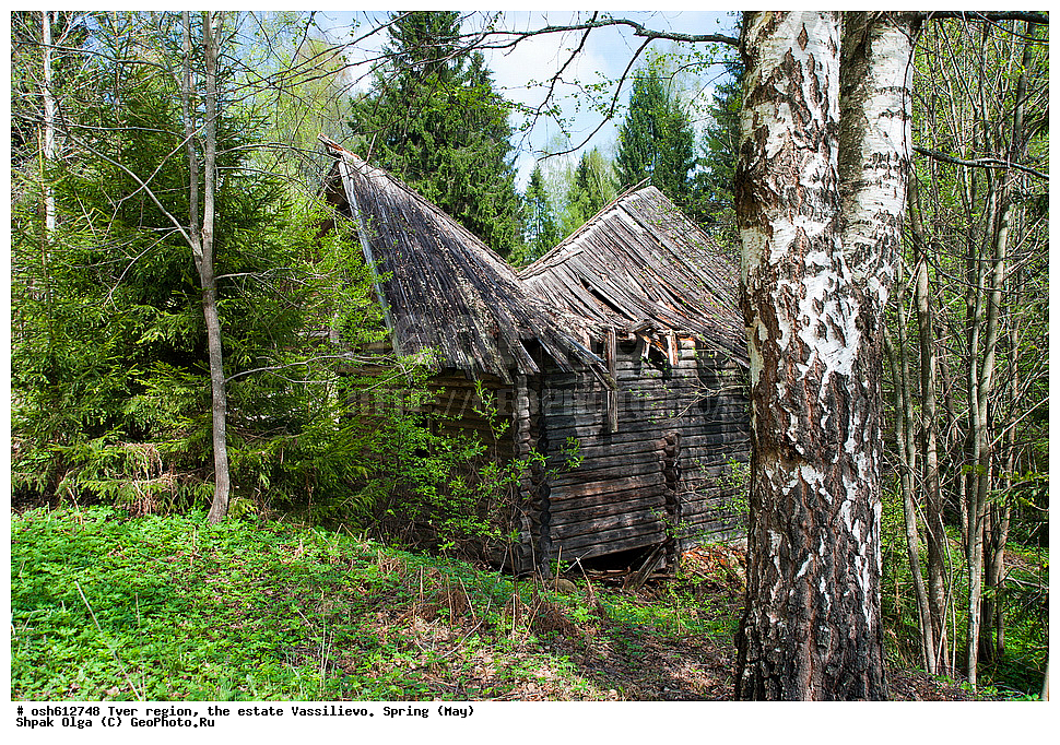 �������� �������, ������� ��������, �����, ���