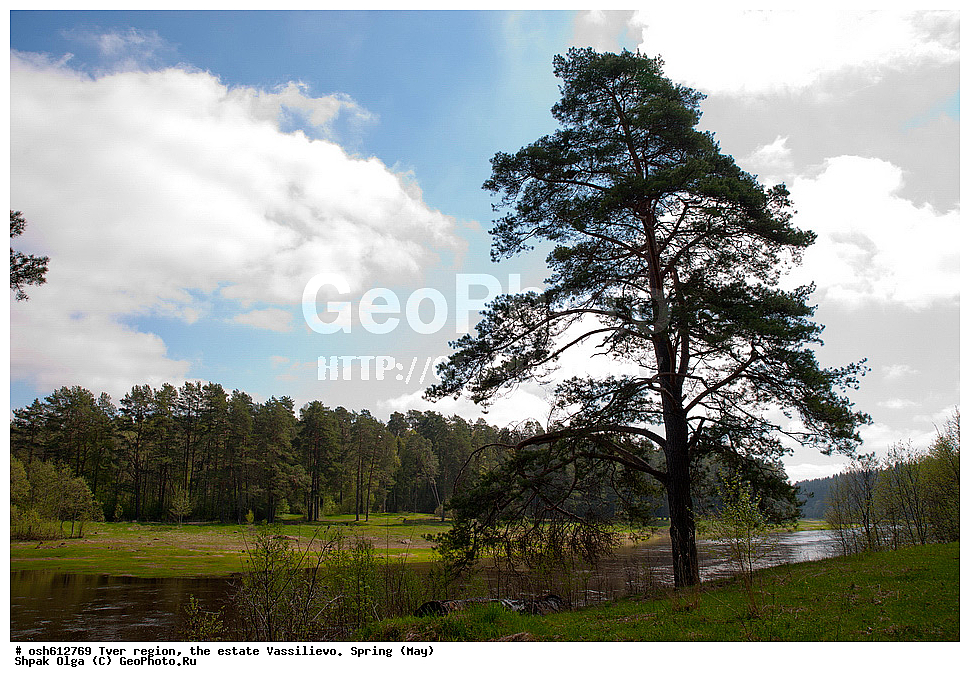 �������� �������, ������� ��������, �����, ���