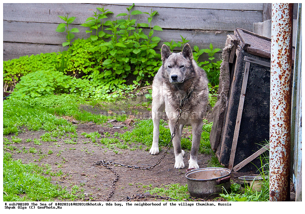 �������� ����, ���������, ����������� ����, �����, ���, ������ ����, ���� �������, ������, ���� ���