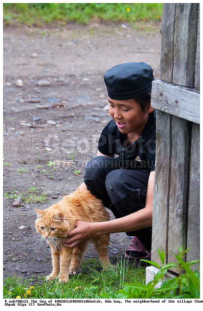 �������� ����, ���������, ����������� ����, �����, ���, ������ ����, ���� �������, ������, ���� ���