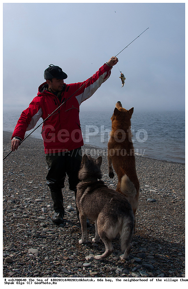 �������� ����, ���������, ����������� ����, �����, ���, ������ ����, ���� �������, ������, ���� ���