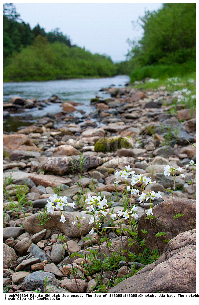 ��������, ��������, �����, ������, �������� ����, ���������, ����������� ����, �����, ���, ������ ����, ���������� �����, ����������, �����, ����������, ���� �������, ������, ���� ���, �����, ���������� �����, ������� ������