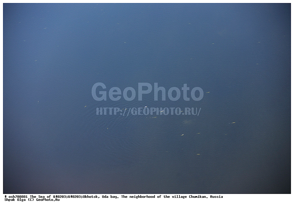 ������, ����� ���, �������� ����, ���������, ����������� ����, �����, ��������, ��������������, �����, ������-����������� �����, ������� ������, �����, ��������� �����, ������