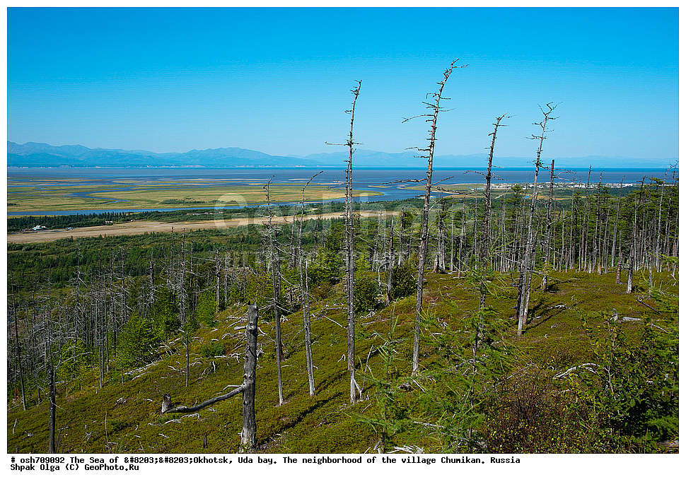 �������� ����, ���������, ����������� ����, �����, ���, ������ ����, ���� �������, ������, ���� ���