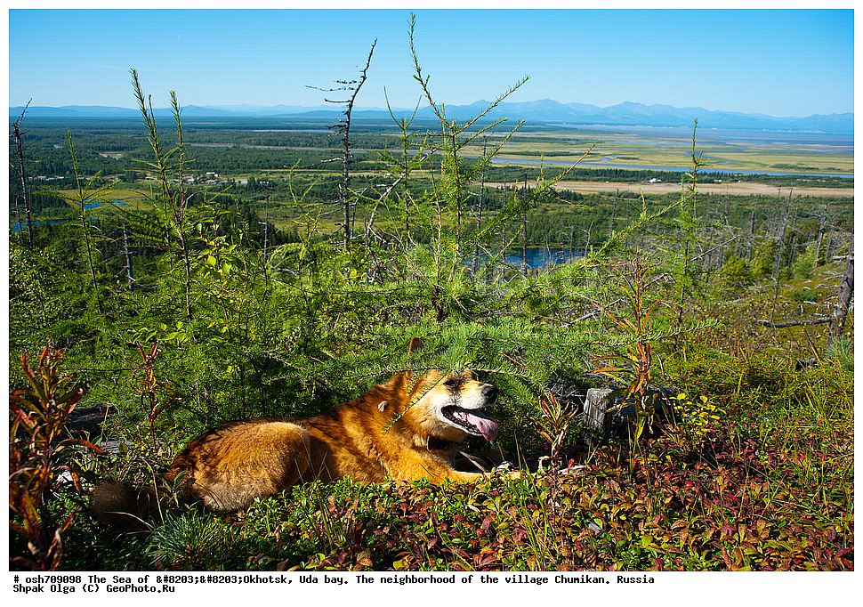 �������� ����, ���������, ����������� ����, �����, ���, ������ ����, ���� �������, ������, ���� ���