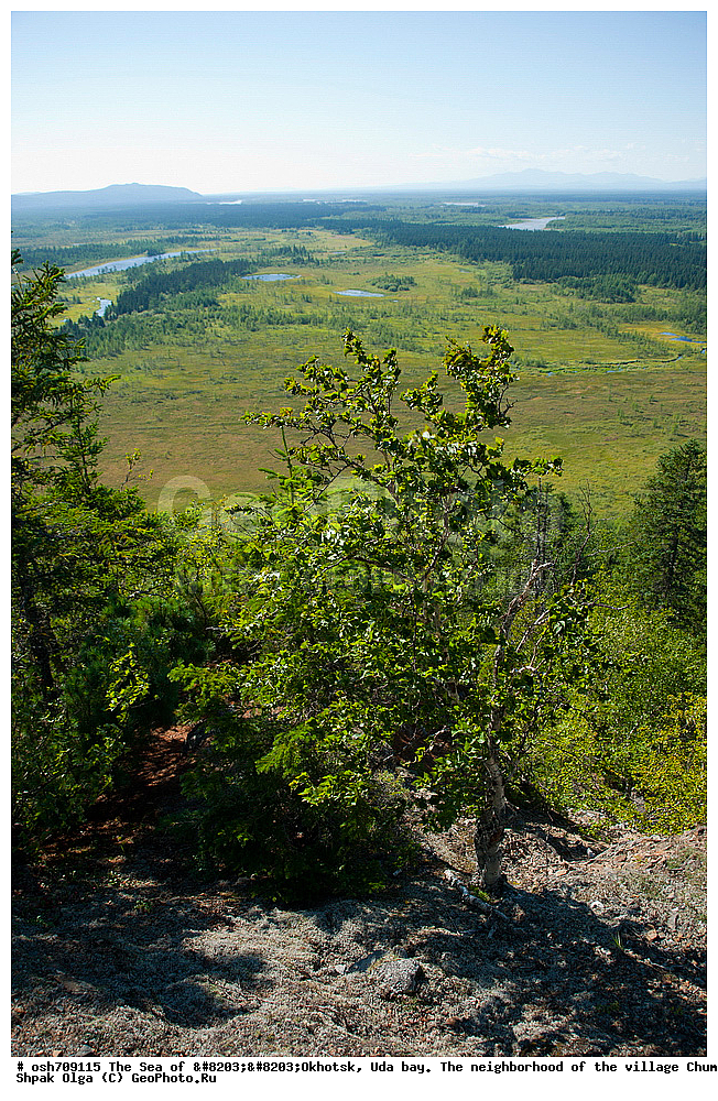 �������� ����, ���������, ����������� ����, �����, ���, ������ ����, ���� �������, ������, ���� ���