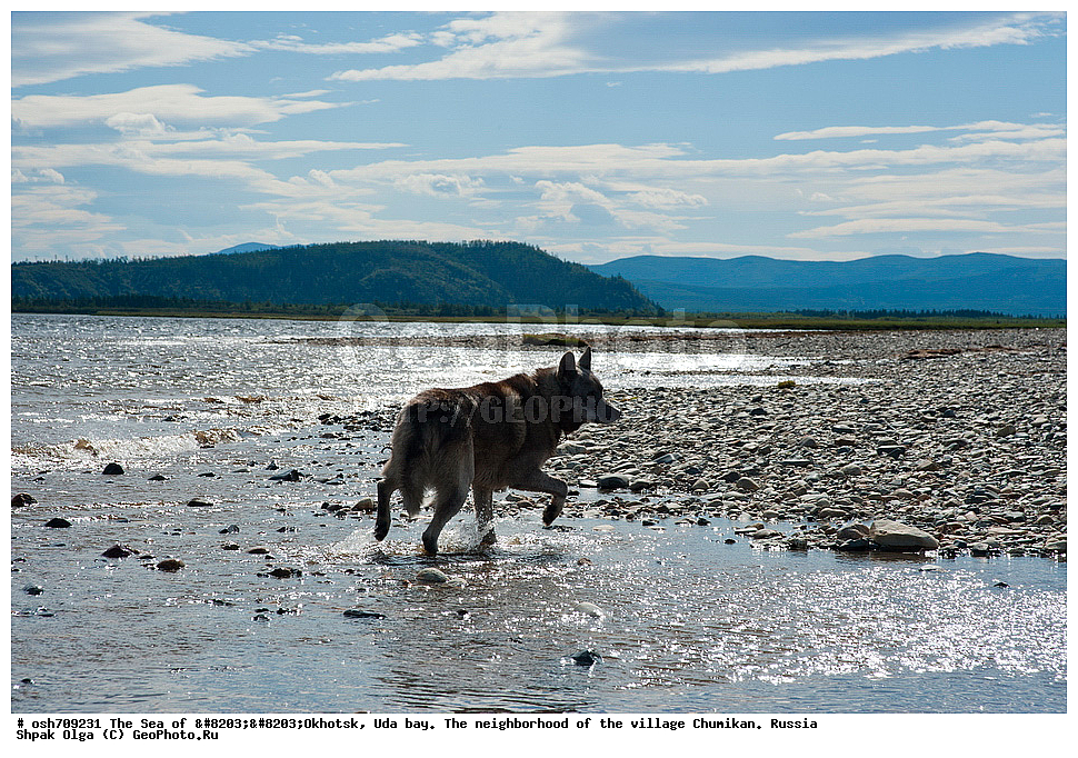 �������� ����, ���������, ����������� ����, �����, ���, ������ ����, ���� �������, ������, ���� ���