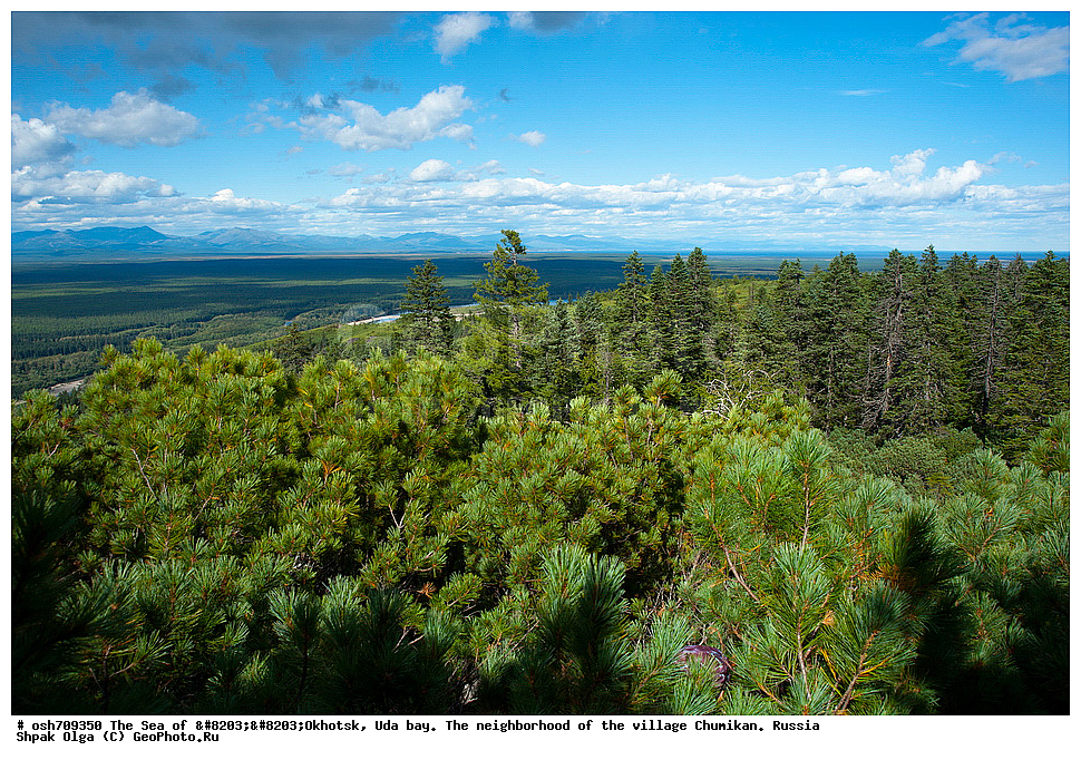 �������� ����, ���������, ����������� ����, �����, ���, ������ ����, ���� �������, ������, ���� ���