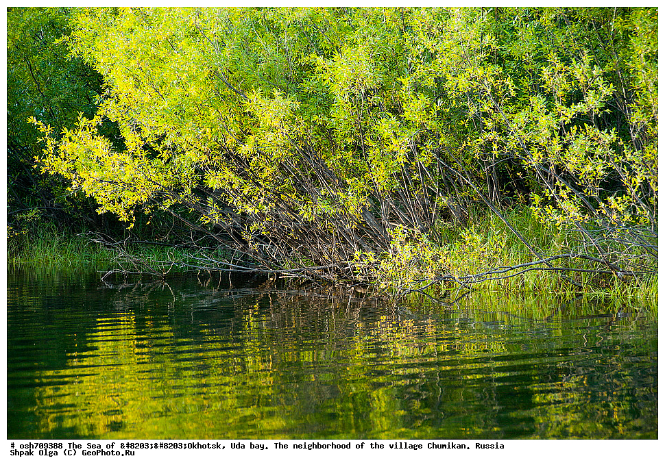 �������� ����, ���������, ����������� ����, �����, ���, ������ ����, ���� �������, ������, ���� ���