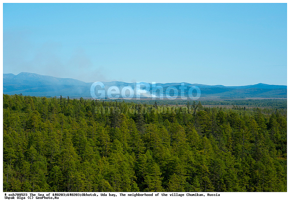 �������� ����, ���������, ����������� ����, �����, ���, ������ ����, ���� �������, ������, ���� ���, ��������, ��������������, �����, ������-����������� �����, ������� ������, ������������ �����, �����, ��������� �����