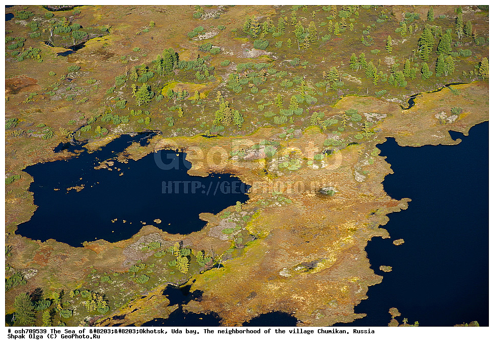 �������� ����, ���������, ����������� ����, �����, ���, ������ ����, ���� �������, ������, ���� ���, ��������, ��������������, �����, ������-����������� �����, ������� ������, ������������ �����, �����, ��������� �����