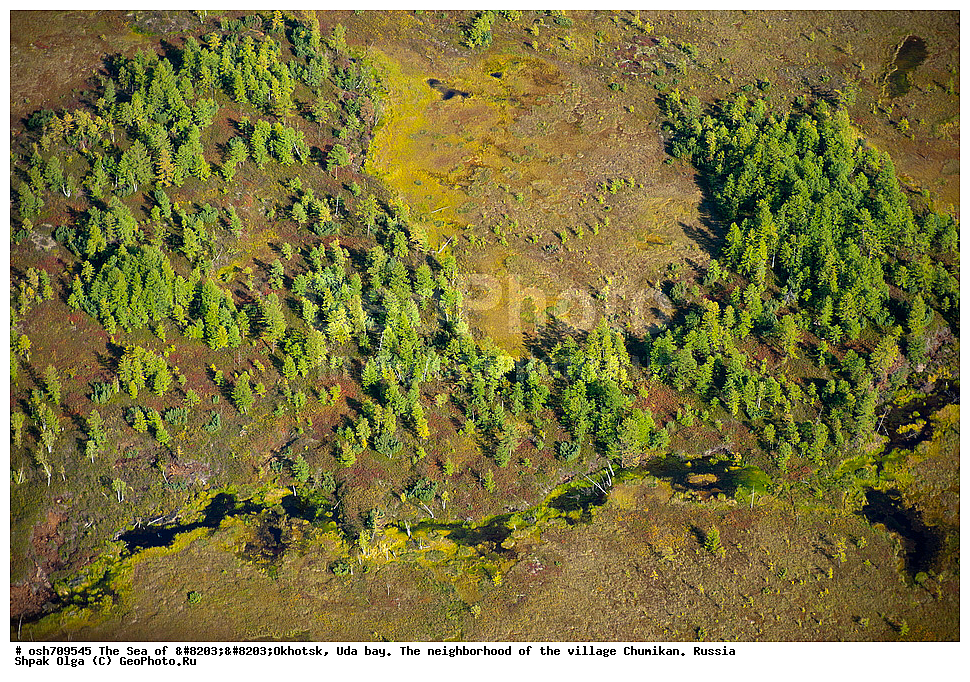 �������� ����, ���������, ����������� ����, �����, ���, ������ ����, ���� �������, ������, ���� ���, ��������, ��������������, �����, ������-����������� �����, ������� ������, ������������ �����, �����, ��������� �����