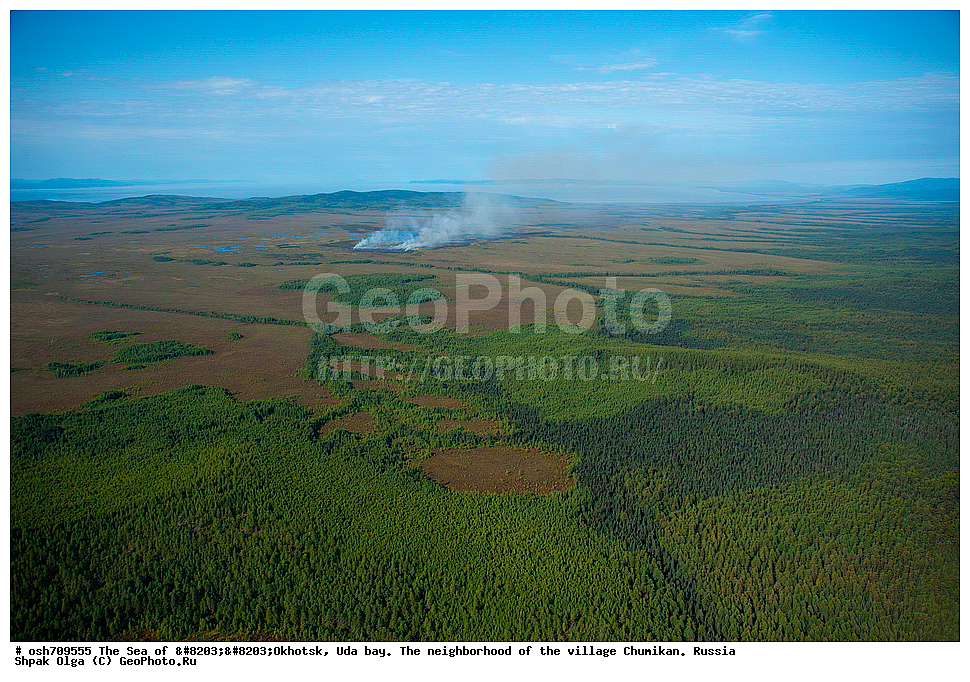 �������� ����, ���������, ����������� ����, �����, ���, ������ ����, ���� �������, ������, ���� ���, ��������, ��������������, �����, ������-����������� �����, ������� ������, ������������ �����, �����, ��������� �����