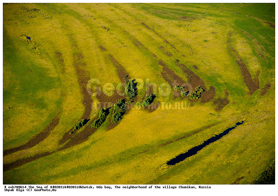 �������� ����, ���������, ����������� ����, �����, ����, ��������, ��������������, ������� ������, ������������ �����, ����������-��-�����, ������