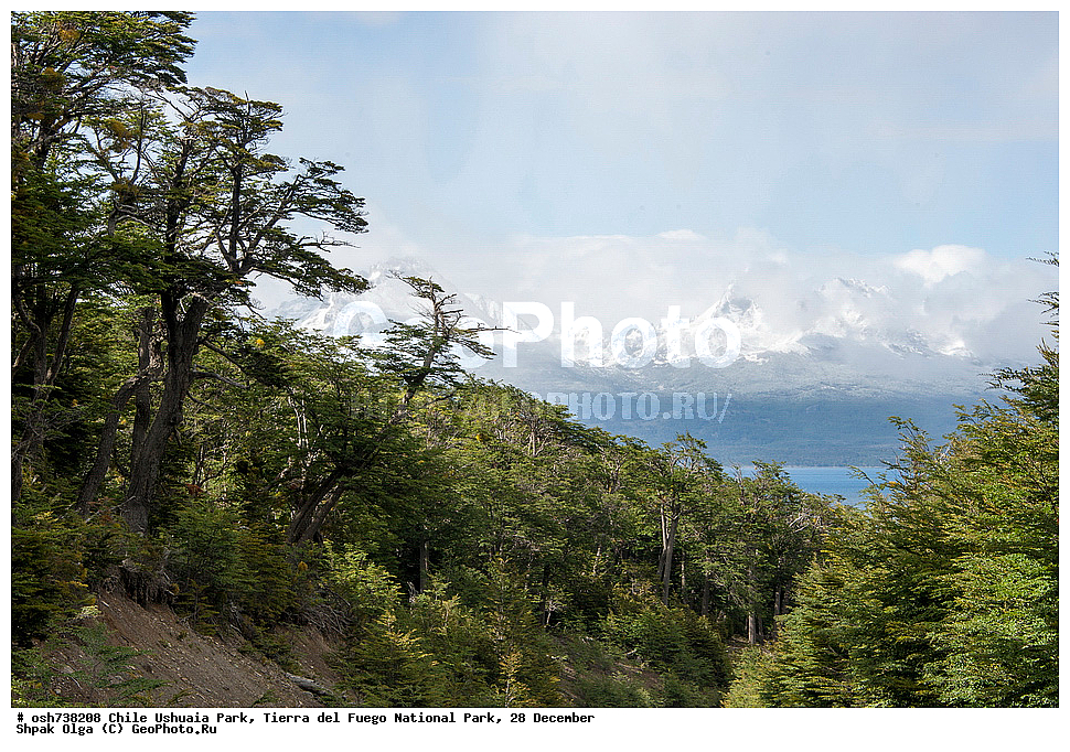 ����, ������, ����������, Tierra del Fuego, ������������ ����, �������, �������� �����