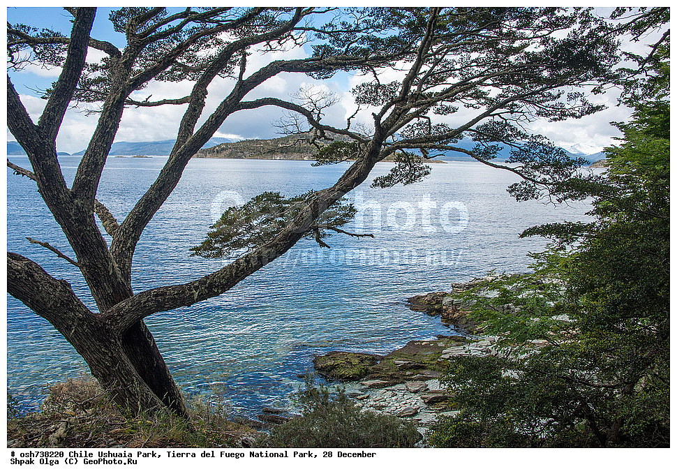 ����, ������, ����������, Tierra del Fuego, ������������ ����, �������, �������� �����