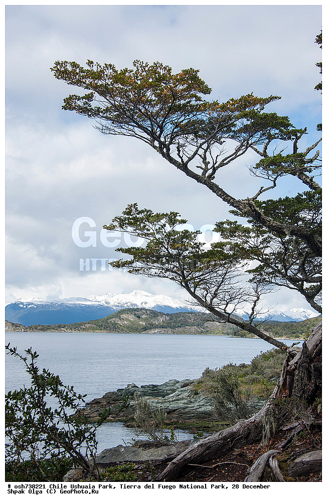 ����, ������, ����������, Tierra del Fuego, ������������ ����, �������, �������� �����
