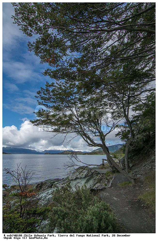 ����, ������, ����������, Tierra del Fuego, ������������ ����, �������, �������� �����