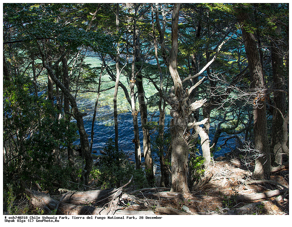 ����, ������, ����������, Tierra del Fuego, ������������ ����, �������, �������� �����