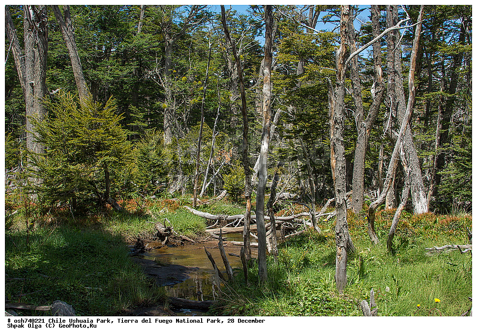 ����, ������, ����������, Tierra del Fuego, ������������ ����, �������, �������� �����