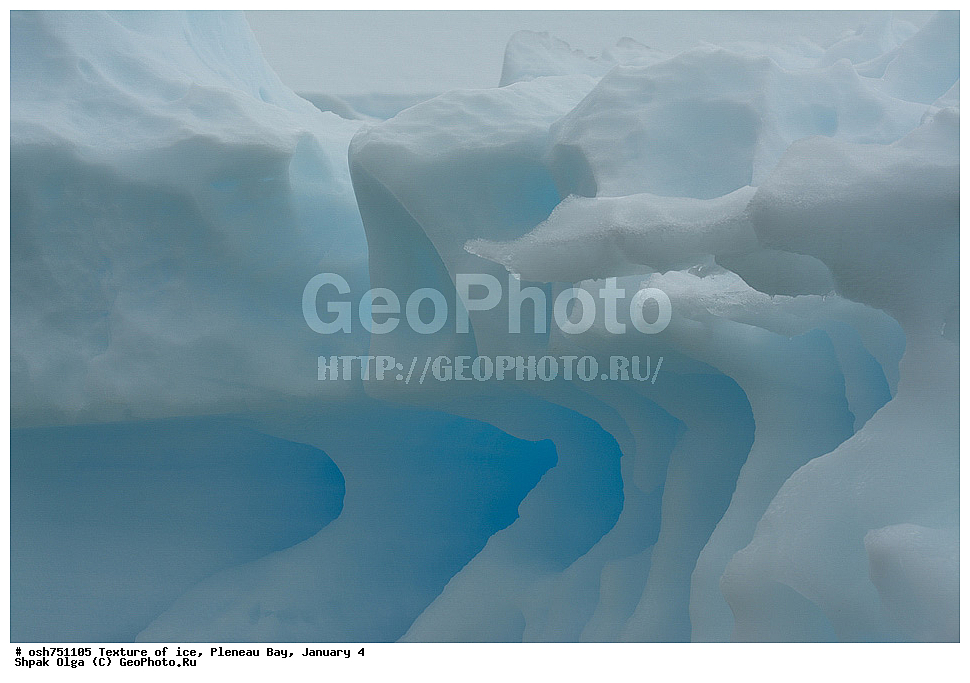 �������, ���, Pleneau Bay, �����, ������