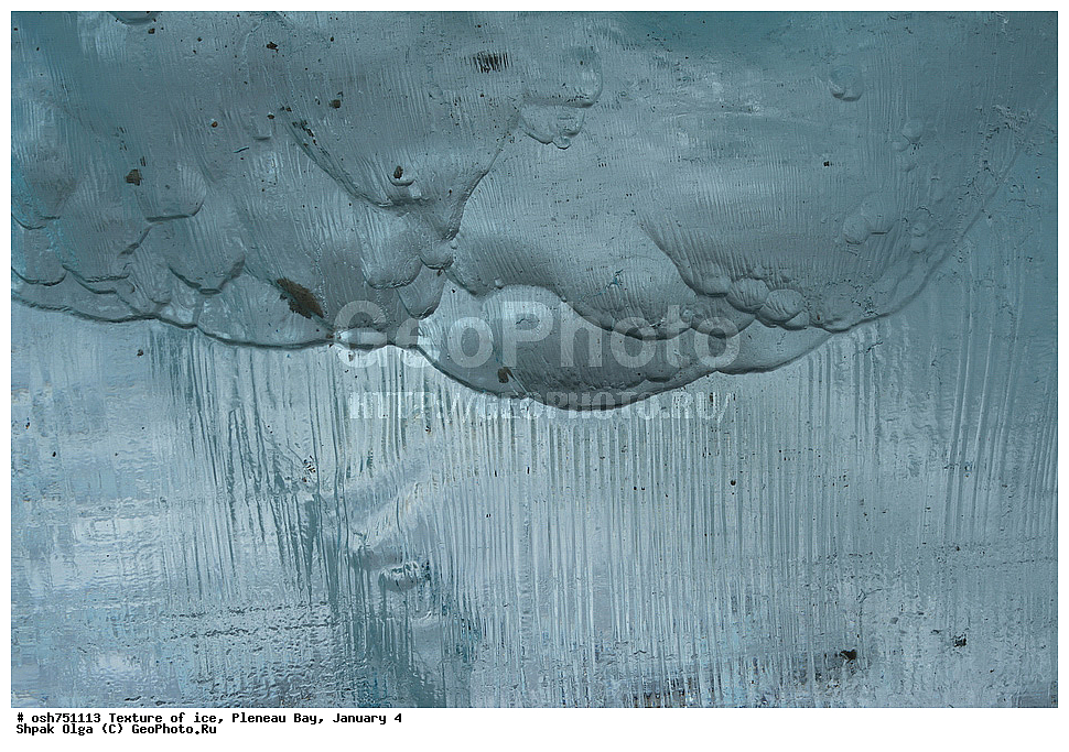 �������, ���, Pleneau Bay, �����, ������