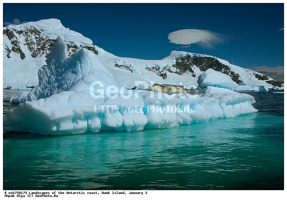 ������, �������������� ���������, ����, ����, �����, ������, �����, ������, ���������� 