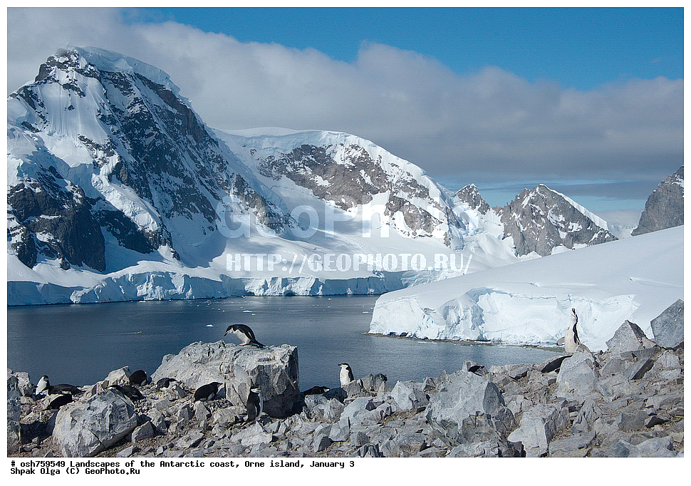 ������, �������������� ���������, ����, ����, �����, ������, ����, ������, ���������� 